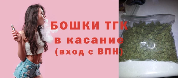 дживик Мегион