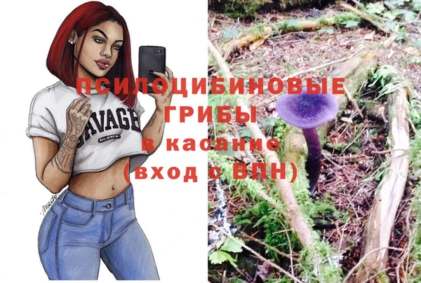 дживик Мегион