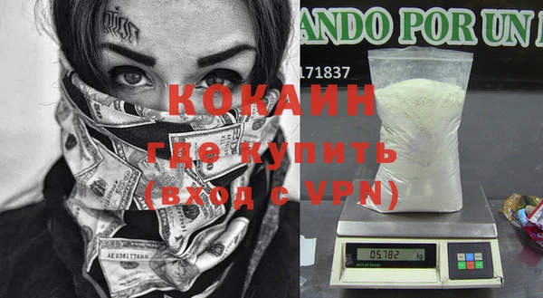 дживик Мегион