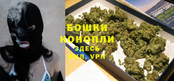 дживик Мегион