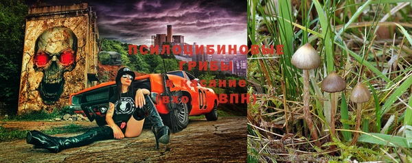 марихуана Медвежьегорск