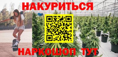 прущие грибы Комсомольск-на-Амуре