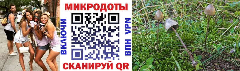 гидра маркетплейс Таганрог Галлюциногенные грибы GOLDEN TEACHER