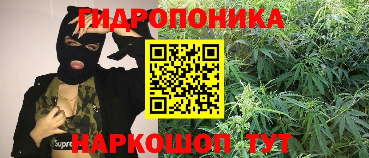 Канабис планчик Таганрог